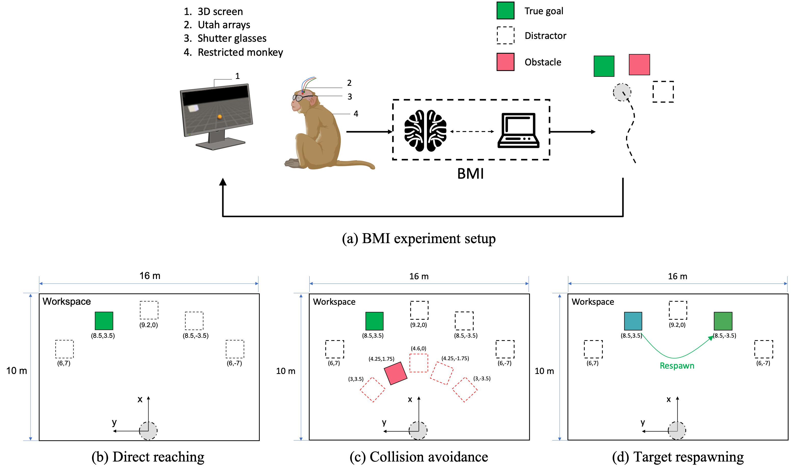 BMI Experiment Setup